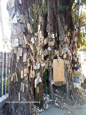 安平古蹟一日遊:安平樹屋也有蜷尾家vs安平古堡vs夕遊出張所半日遊