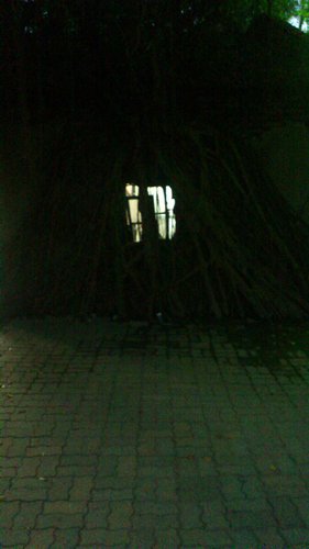 安平古蹟一日遊:2012年12月台南自由行之安平古堡與樹屋