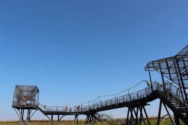 安平樹屋://台南景點//安平樹屋。大自然的偉大傑作,生命力的無限表現,一起大口呼吸吸鮮空氣吧