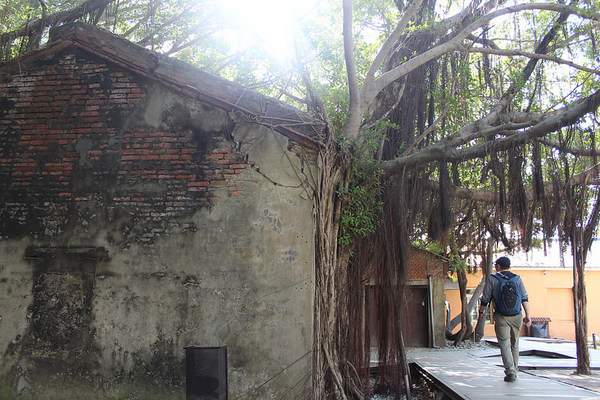 安平樹屋://台南景點//安平樹屋。大自然的偉大傑作,生命力的無限表現,一起大口呼吸吸鮮空氣吧