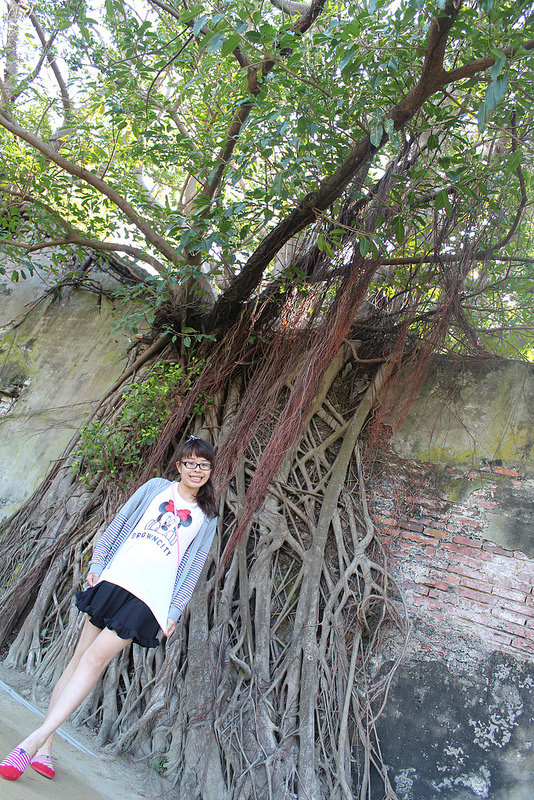 安平樹屋://台南景點//安平樹屋。大自然的偉大傑作,生命力的無限表現,一起大口呼吸吸鮮空氣吧