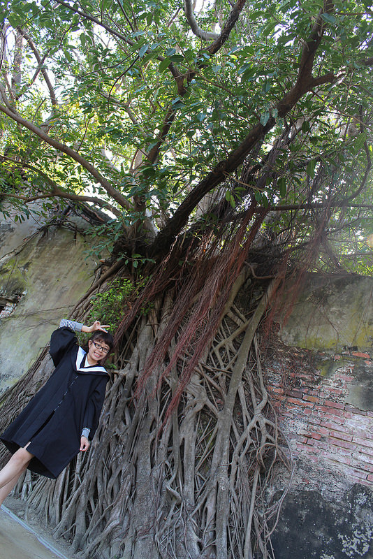 安平樹屋://台南景點//安平樹屋。大自然的偉大傑作,生命力的無限表現,一起大口呼吸吸鮮空氣吧