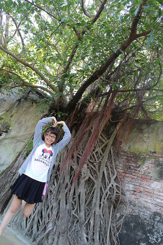 安平樹屋://台南景點//安平樹屋。大自然的偉大傑作,生命力的無限表現,一起大口呼吸吸鮮空氣吧