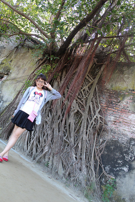 安平樹屋://台南景點//安平樹屋。大自然的偉大傑作,生命力的無限表現,一起大口呼吸吸鮮空氣吧