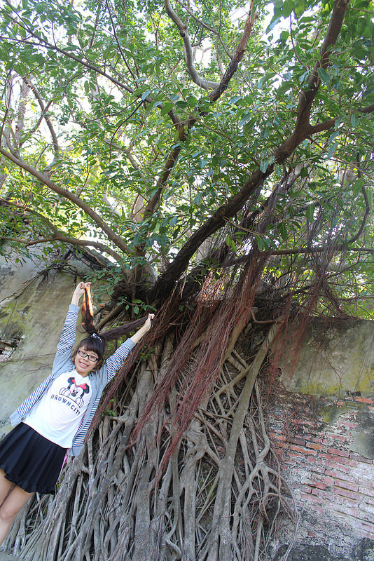 安平樹屋://台南景點//安平樹屋。大自然的偉大傑作,生命力的無限表現,一起大口呼吸吸鮮空氣吧