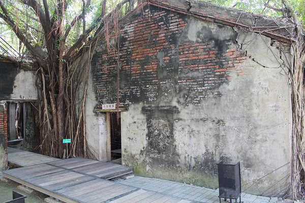 安平樹屋://台南景點//安平樹屋。大自然的偉大傑作,生命力的無限表現,一起大口呼吸吸鮮空氣吧