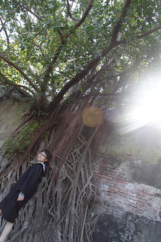 安平樹屋://台南景點//安平樹屋。大自然的偉大傑作,生命力的無限表現,一起大口呼吸吸鮮空氣吧