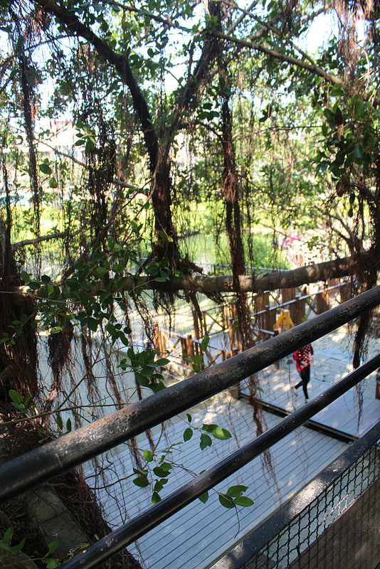 安平樹屋://台南景點//安平樹屋。大自然的偉大傑作,生命力的無限表現,一起大口呼吸吸鮮空氣吧