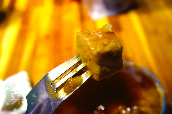 DSC09047 (複製).JPG