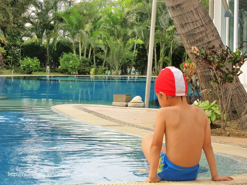 台南商務會館-港式飲茶:台南商務會館-港式飲茶 加碼 戶外泳池也很讚喔!【愛評陸拾卷】