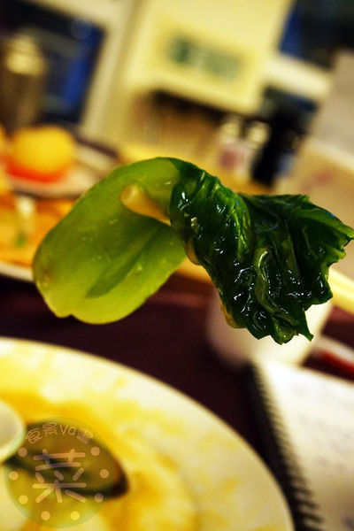 DSC08499 (複製).JPG