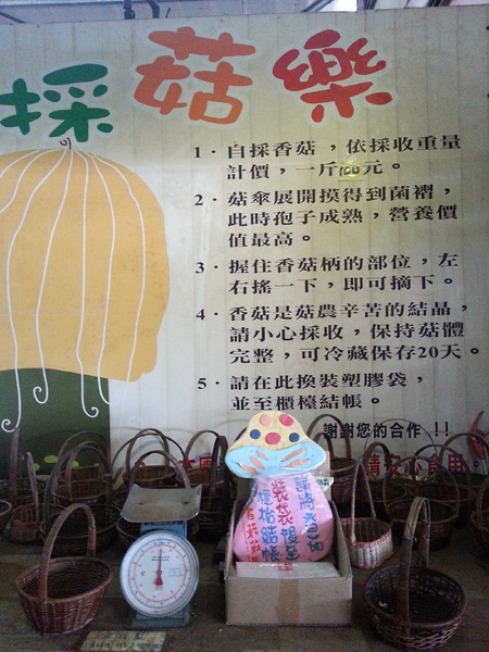 百菇莊：[台中][景點]百菇莊~七彩繽紛採菇趣