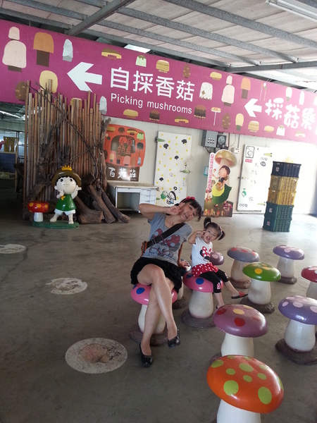 百菇莊：[台中][景點]百菇莊~七彩繽紛採菇趣