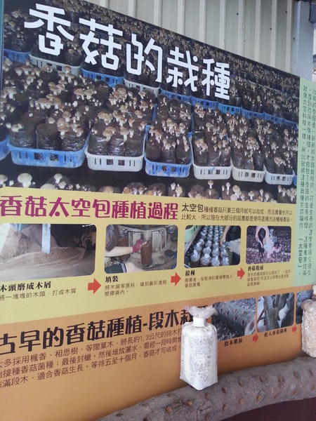 百菇莊：[台中][景點]百菇莊~七彩繽紛採菇趣