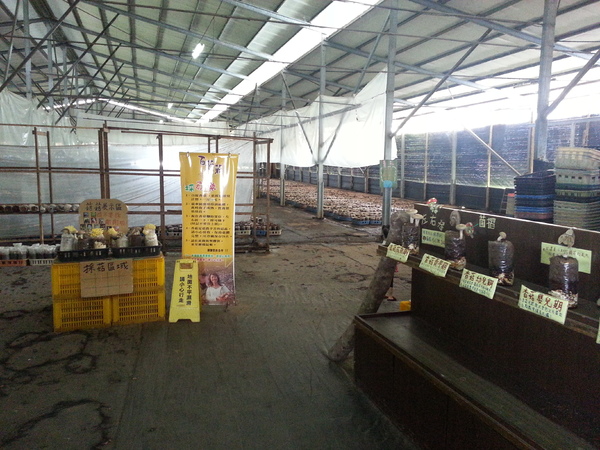 百菇莊：[台中][景點]百菇莊~七彩繽紛採菇趣