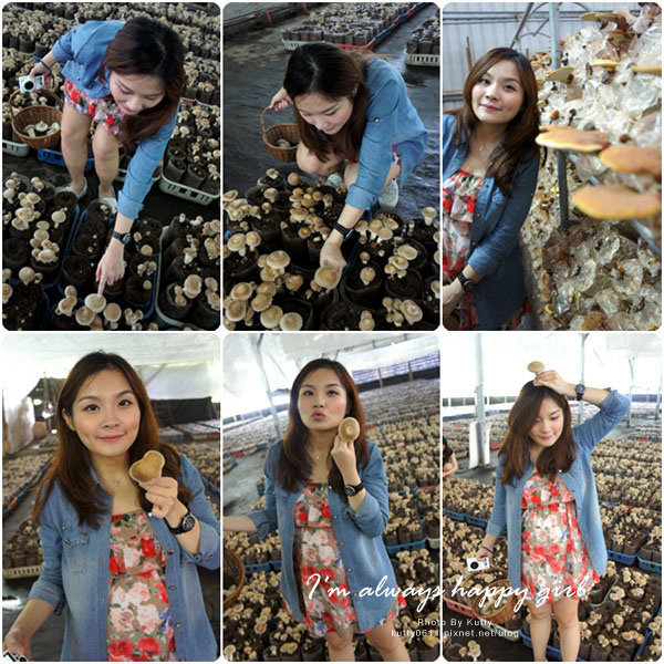 2014-8-24百菇莊 (23).jpg