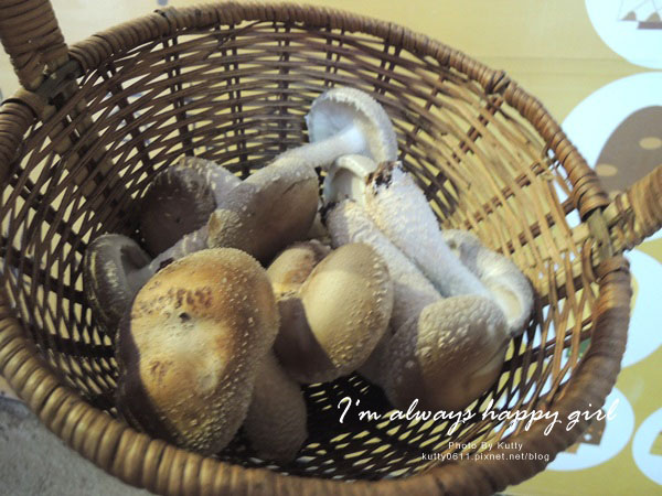 2014-8-24百菇莊 (24).jpg