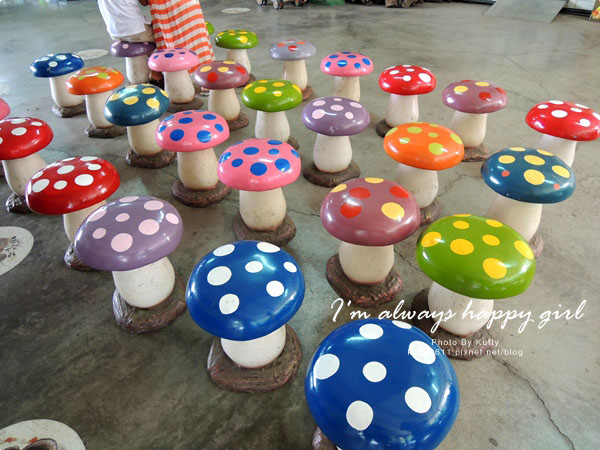 2014-8-24百菇莊 (8).jpg