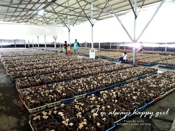 2014-8-24百菇莊 (16).jpg