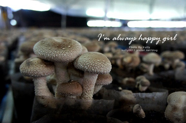 2014-8-24百菇莊 (19).jpg