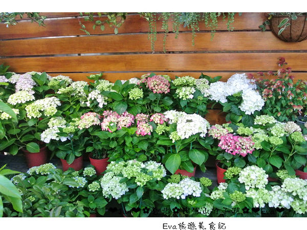 竹子湖：【食記】oO。台北 陽明山 