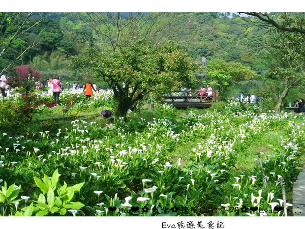 竹子湖：【食記】oO。台北 陽明山 