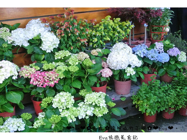 竹子湖：【食記】oO。台北 陽明山 