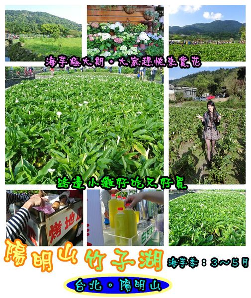 竹子湖：【食記】oO。台北 陽明山 