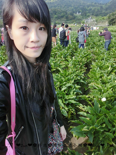 竹子湖：【食記】oO。台北 陽明山 