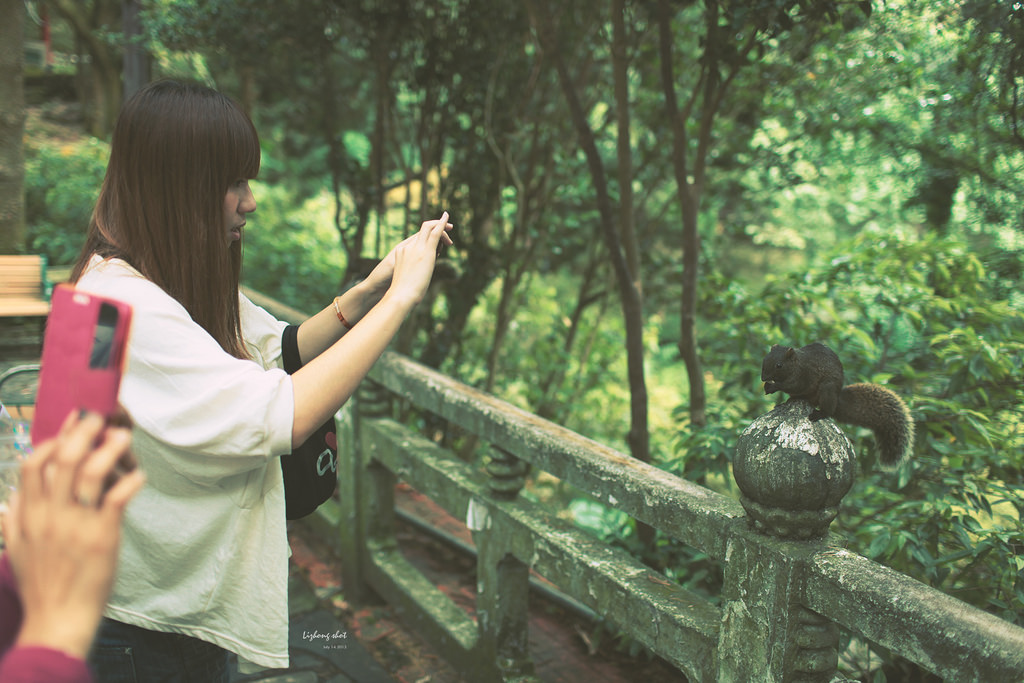 陽明山竹子湖半日漫步