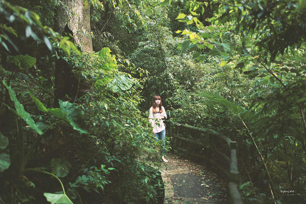 陽明山竹子湖半日漫步