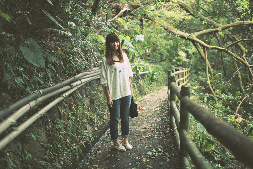 陽明山竹子湖半日漫步