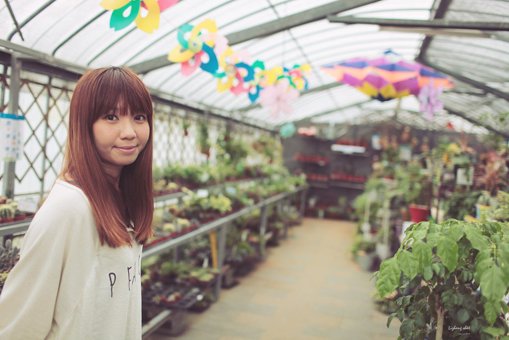 陽明山竹子湖半日漫步