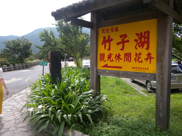 竹子湖高家繡球花田：[台北] 陽明山 竹子湖 滿遍 繡球花   假日快點衝啦!!!!