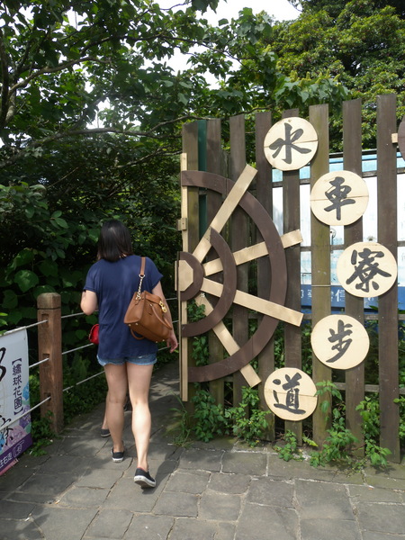 竹子湖高家繡球花田：[台北] 陽明山 竹子湖 滿遍 繡球花   假日快點衝啦!!!!