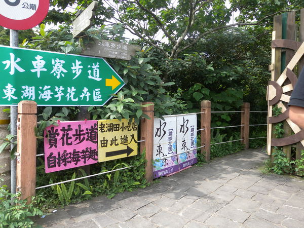 竹子湖高家繡球花田：[台北] 陽明山 竹子湖 滿遍 繡球花   假日快點衝啦!!!!