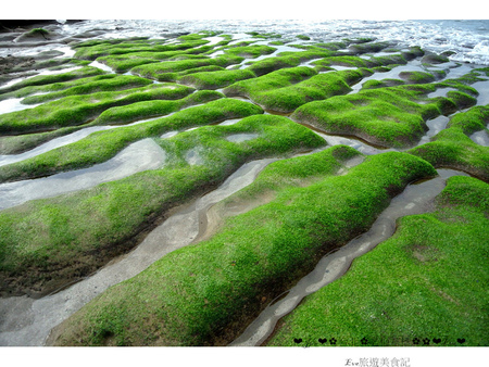 老梅綠石槽:【遊記】oO。o○新北市 北海岸 石門區 老梅石槽 老梅 綠石槽 潮溝 海蝕溝 可怕的綠怪物現身石門區,是不是世界末日~。oO。o○。
