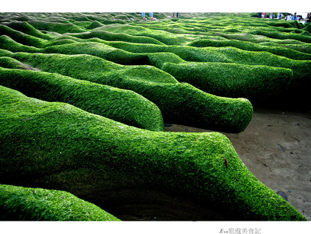 老梅綠石槽:【遊記】oO。o○新北市 北海岸 石門區 老梅石槽 老梅 綠石槽 潮溝 海蝕溝 可怕的綠怪物現身石門區,是不是世界末日~。oO。o○。