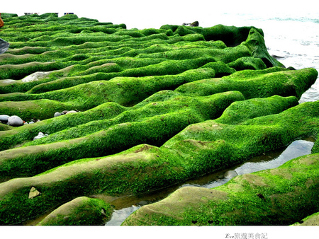 老梅綠石槽:【遊記】oO。o○新北市 北海岸 石門區 老梅石槽 老梅 綠石槽 潮溝 海蝕溝 可怕的綠怪物現身石門區,是不是世界末日~。oO。o○。