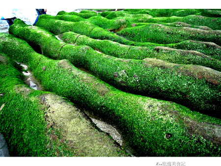 老梅綠石槽:【遊記】oO。o○新北市 北海岸 石門區 老梅石槽 老梅 綠石槽 潮溝 海蝕溝 可怕的綠怪物現身石門區,是不是世界末日~。oO。o○。