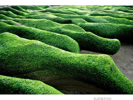 老梅綠石槽:【遊記】oO。o○新北市 北海岸 石門區 老梅石槽 老梅 綠石槽 潮溝 海蝕溝 可怕的綠怪物現身石門區,是不是世界末日~。oO。o○。