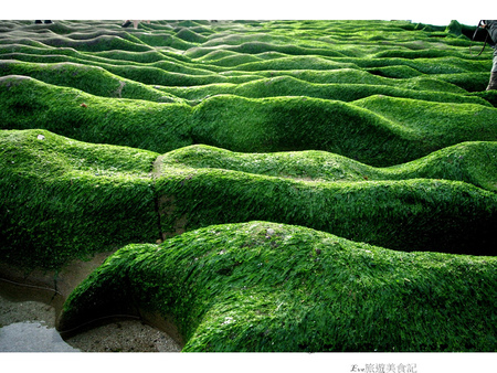 老梅綠石槽:【遊記】oO。o○新北市 北海岸 石門區 老梅石槽 老梅 綠石槽 潮溝 海蝕溝 可怕的綠怪物現身石門區,是不是世界末日~。oO。o○。