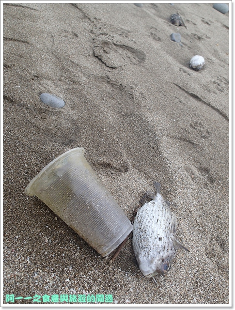 老梅綠石槽:新北石門 老梅綠石槽&劉家肉粽&三芝小豬輕食館(食尚玩家)~春日限時小旅行