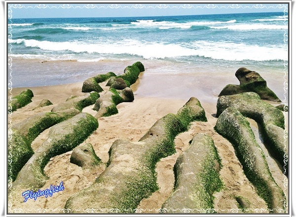 老梅綠石槽：╭(′▽`)╯賞味期限定 !! 讓人驚呼連連ㄟ夯爆美景 -「老梅綠石槽」