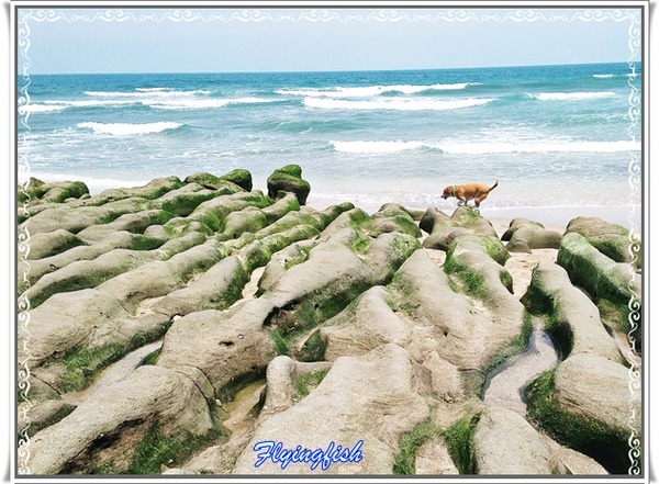 老梅綠石槽：╭(′▽`)╯賞味期限定 !! 讓人驚呼連連ㄟ夯爆美景 -「老梅綠石槽」