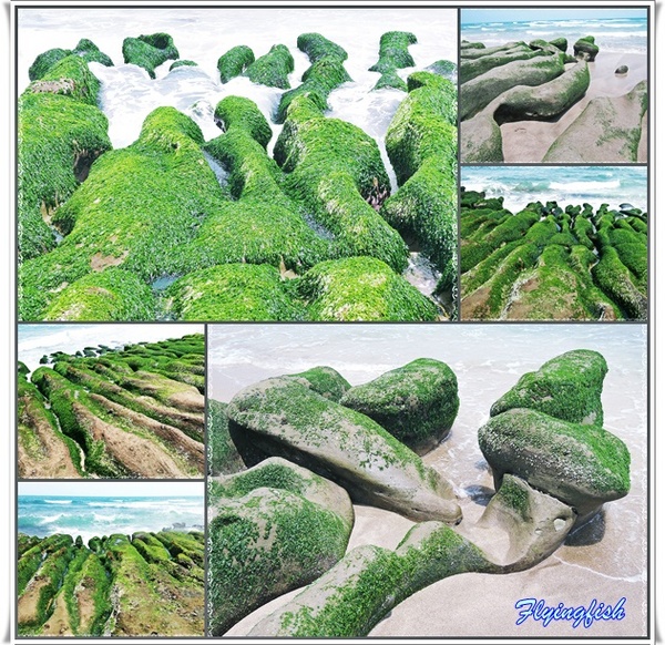 老梅綠石槽：╭(′▽`)╯賞味期限定 !! 讓人驚呼連連ㄟ夯爆美景 -「老梅綠石槽」