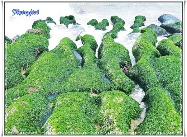 老梅綠石槽：╭(′▽`)╯賞味期限定 !! 讓人驚呼連連ㄟ夯爆美景 -「老梅綠石槽」