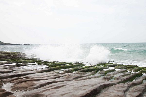 金山老街鴨肉石門老梅綠石槽台北北海岸一日遊