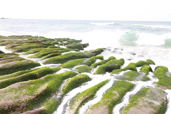 金山老街鴨肉石門老梅綠石槽台北北海岸一日遊