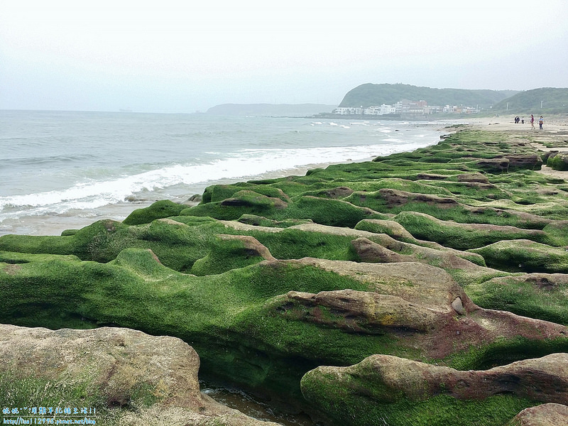 DSCN0799 (2000x1500)